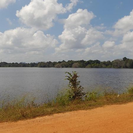 Wild View Stay Хабарана Экстерьер фото