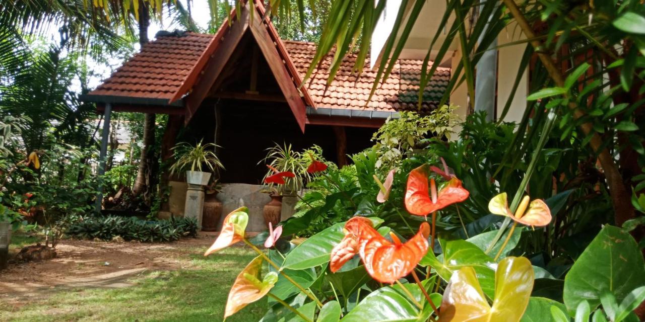 Wild View Stay Хабарана Экстерьер фото