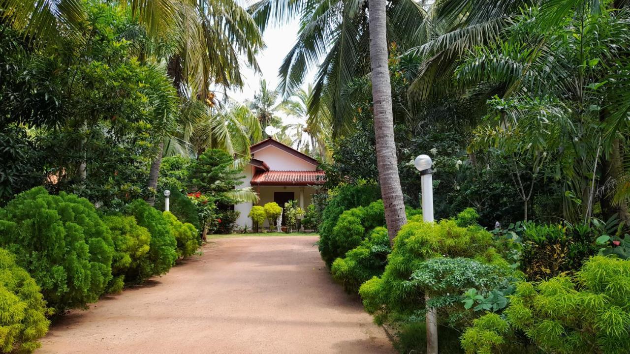 Wild View Stay Хабарана Экстерьер фото